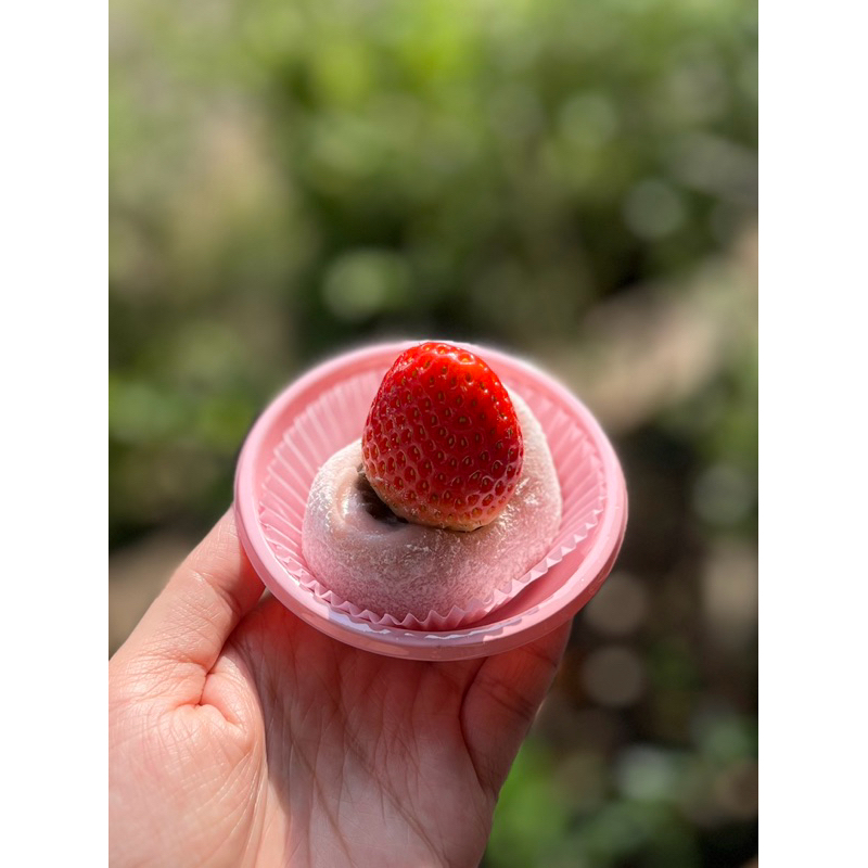 

LEYS BAKING ADDICT PRE ORDER Ichigo Daifuku Mochi Strawberry Korea