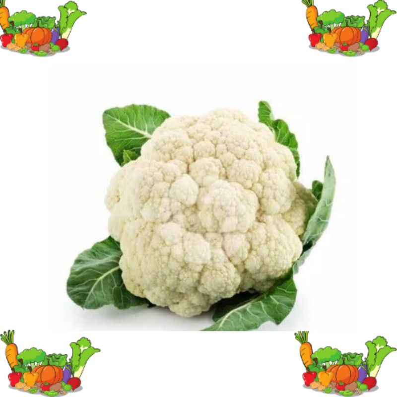 

kembang kol 500 gram