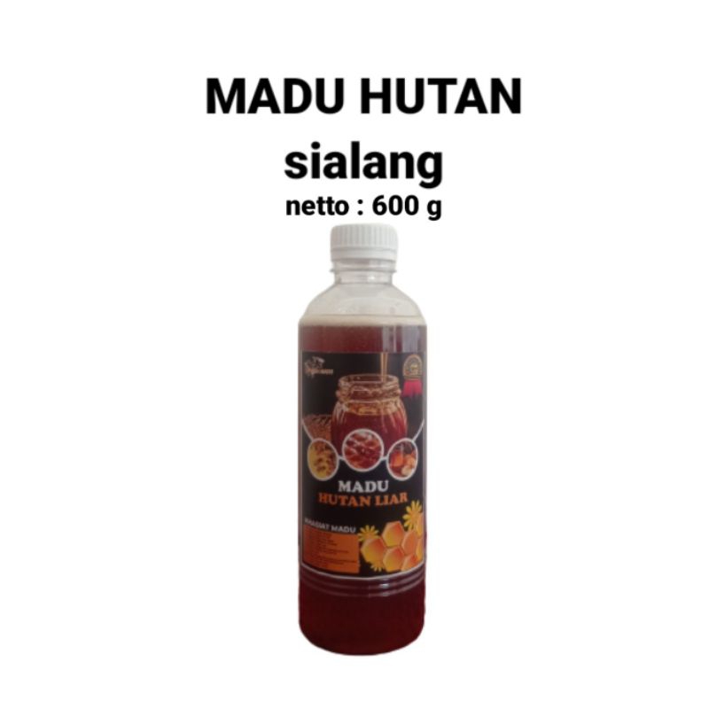 

madu hutan liar 600g madu rimba sialang