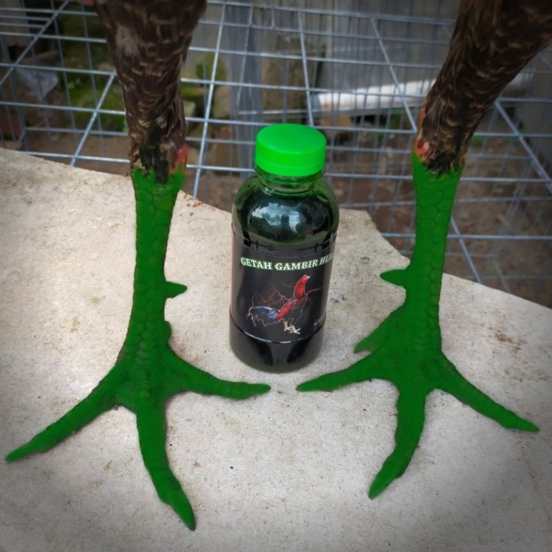 Getah gambir hijau - untuk mengeraskan sisik kaki ayam