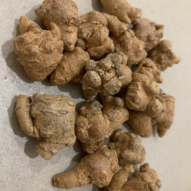 Tian Qi /Panax NotoGinseng