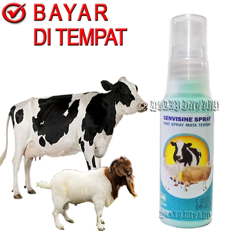 GENVISINE Spray Obat Mata Sapi Kambing Sakit Infeksi Bengkak Merah
