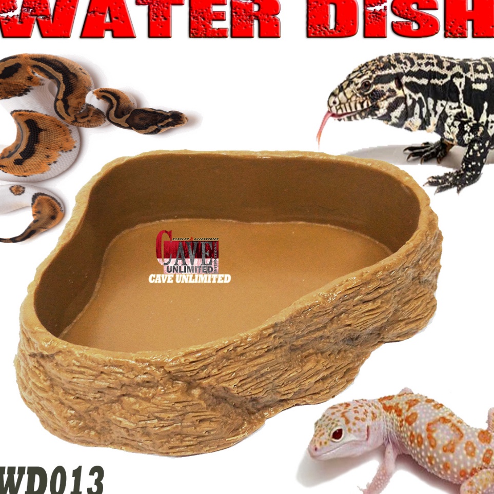 Ready WD13 WATERDISH FEEDING DISH FOODDISH TEMPAT WADAH AIR MINUM MAKAN KALSIUM REPTILE LEOPARD GECK