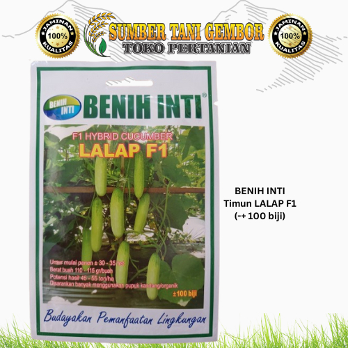 Benih Timun LALAP F1 BENIH INTI