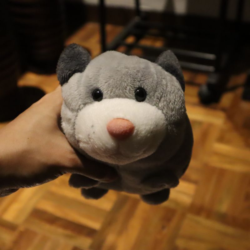 Boneka Kucing Cat Plushie Abu-abu