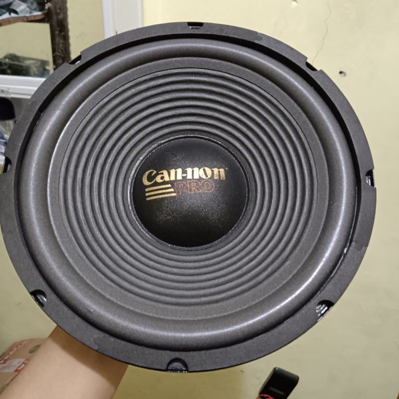 Speaker Cannon 10 Inch Woofer Pro 300 Watt