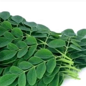 

daun kelor segar 100 gram