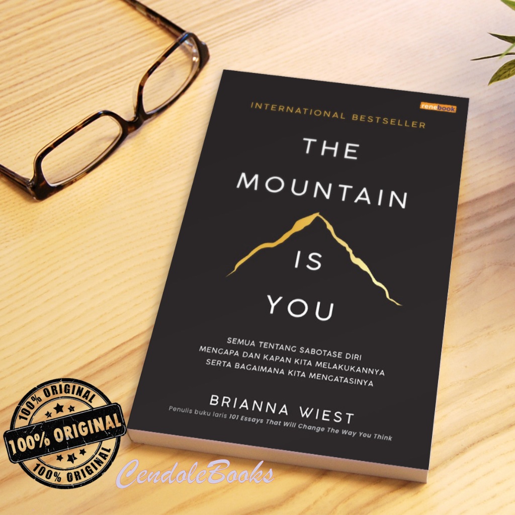 Buku The Mountain is You - Brianna Wiest