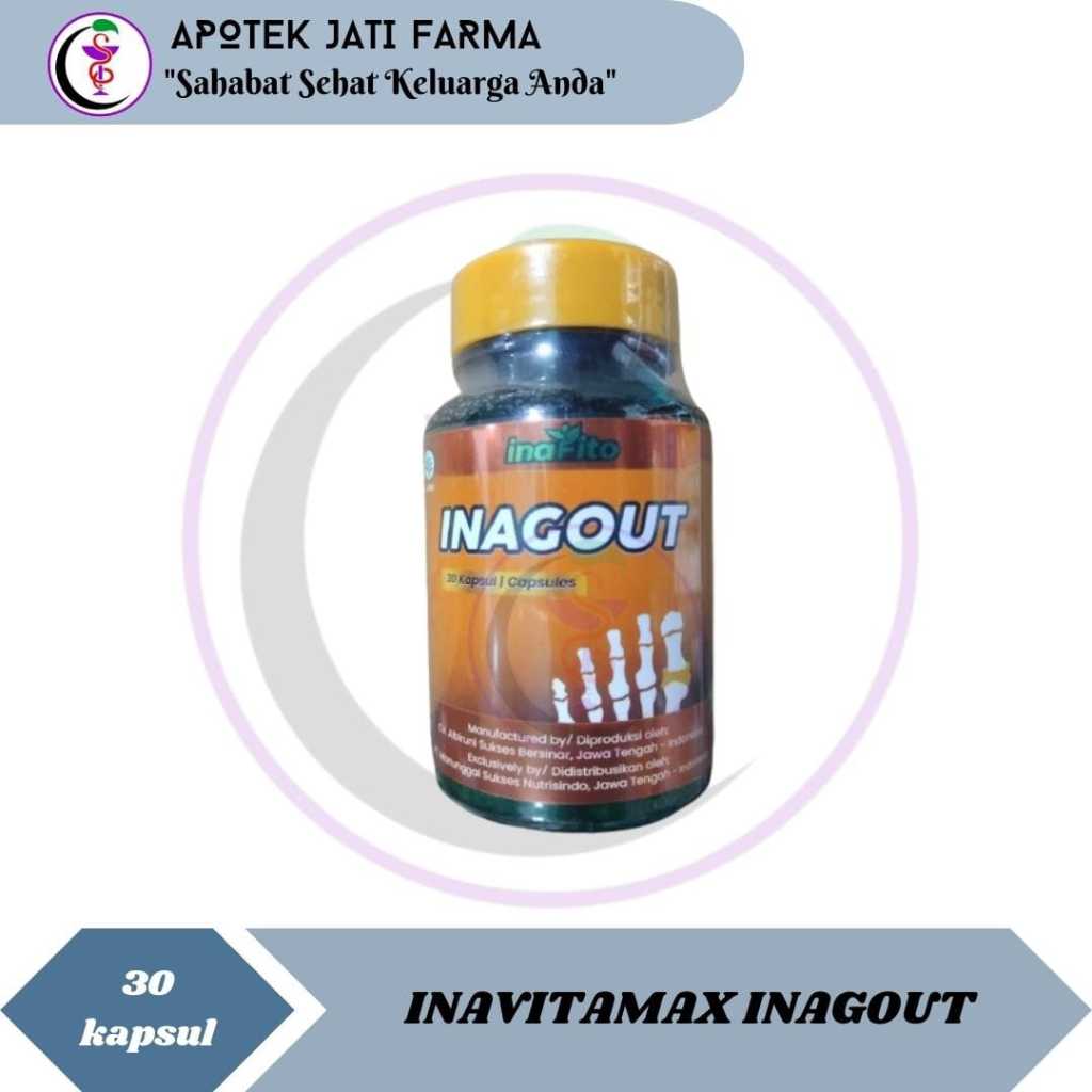 INAVITAMAX INAGOUT