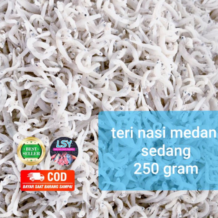 

READY STOK ikan asin teri nasi medan size sedang 25gr