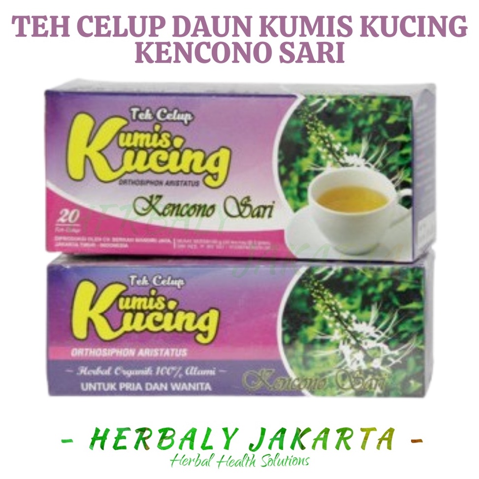 

BAYAR DITEMPAT Teh celup kumis kucing asli kencono sari