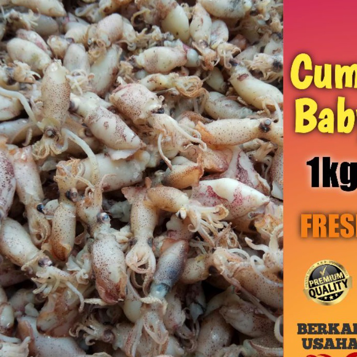 

STAR BABY CUMI ASIN REBUS FRESH size 12cm23cm34cm Per 1kg IKAN ASIN MURAH GROSIR SOTONG KECIL BEBI CUMI ASIN KECIL