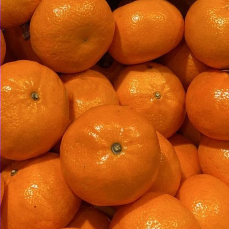 

[CosmicSoul] BUAH JERUK MANDARIN AFORER AUSTRALIA