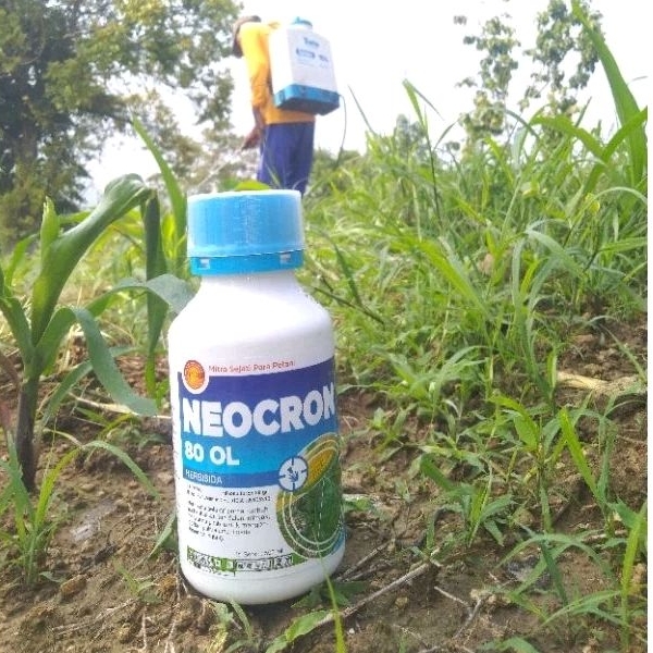 neocron 500 ml