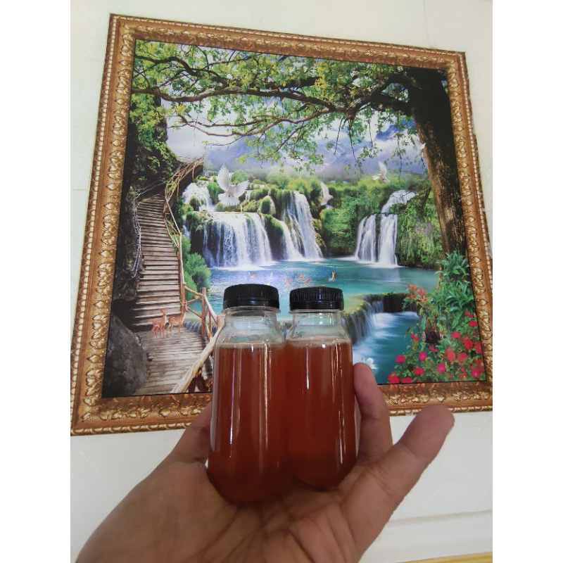 

Madu Asli klanceng ITAMA 1 botol 100 gram