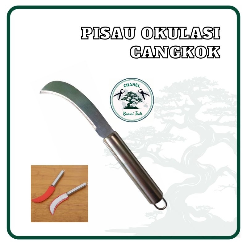 Pisau Kambium Bengkok Cangkok Grafting Okulasi Bonsai Tanaman Hias Stainlees Steel