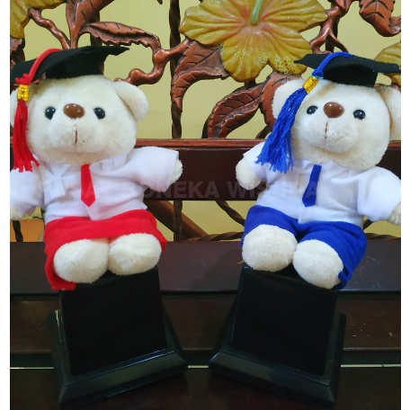 Piala Boneka Wisuda Untuk Anak Sekolah Sd SMP Sma Pilbon Murah Lucu Kecil Mini Perpisahan Graduation
