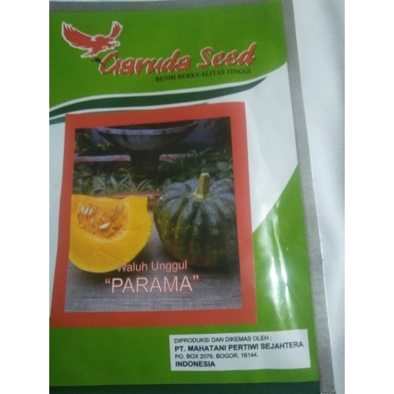 bibit/benih labu kuning labu jumbo siap tanam bibit berkualitas bibit mudah tumbuh