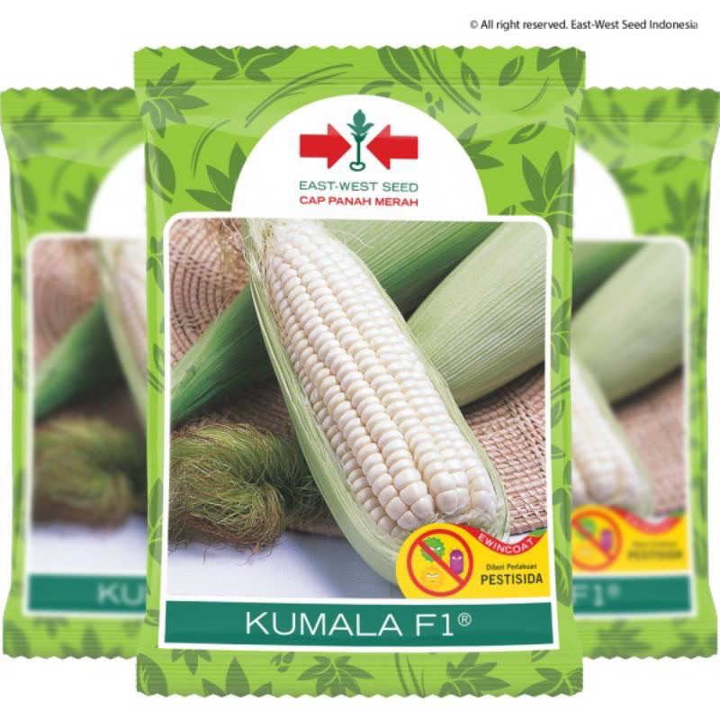 Benih Jagung Ketan KUMALA F1 250gram - Cap Panah Merah