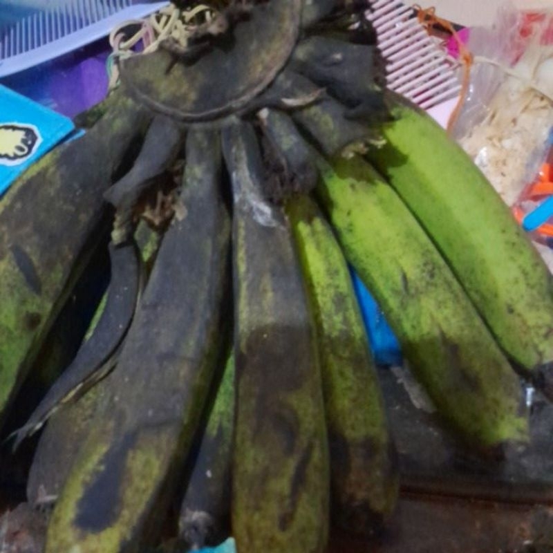 

pisang raja