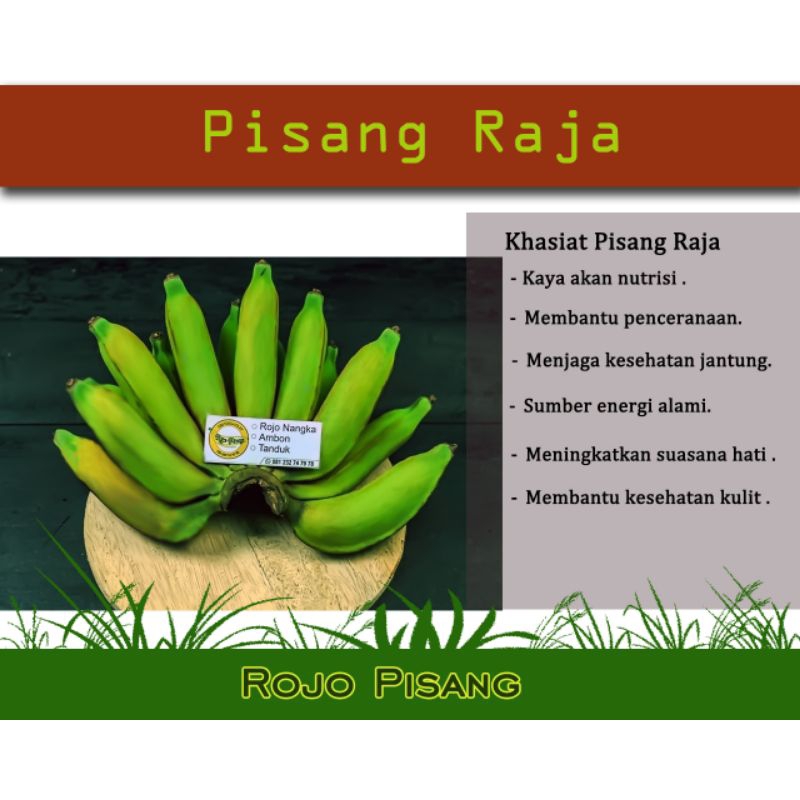 

Pisang Raja Segar Langsung dari Kebun |satu sisir
