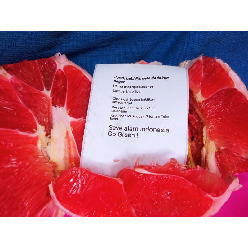 

Jeruk bali Merah Pamelo
