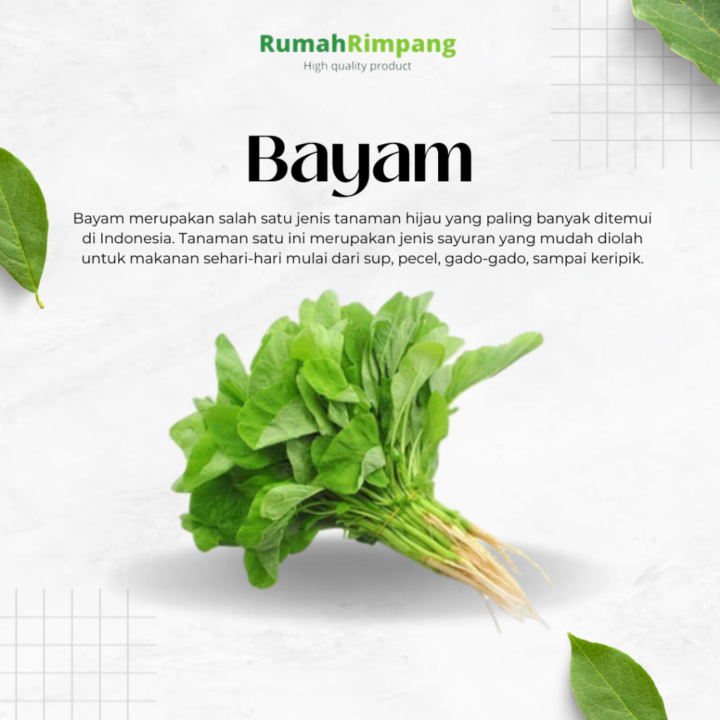 

[BISA INSTAN] JUAL SAYUR BAYAM FRESH - KEMASAN 1 IKAT