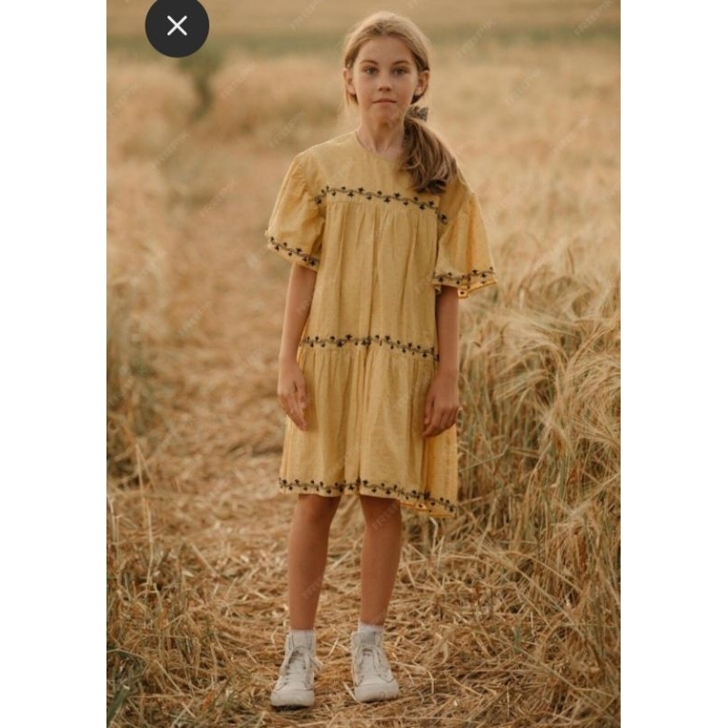 zara kids embroidery dress