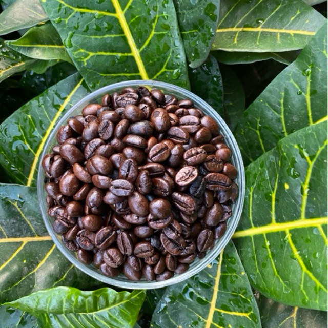 

Robusta Kawi Roastbean