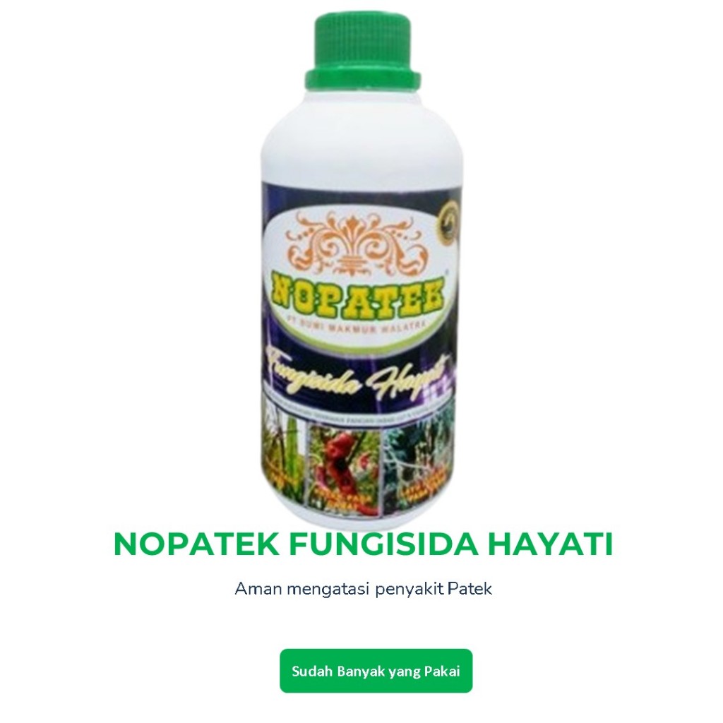 Fungisida Nopatek Obat Hama Virus Kuning Daun Cabe - Obat Penyakit Kuning Daun, Daun Kriting, Daun A