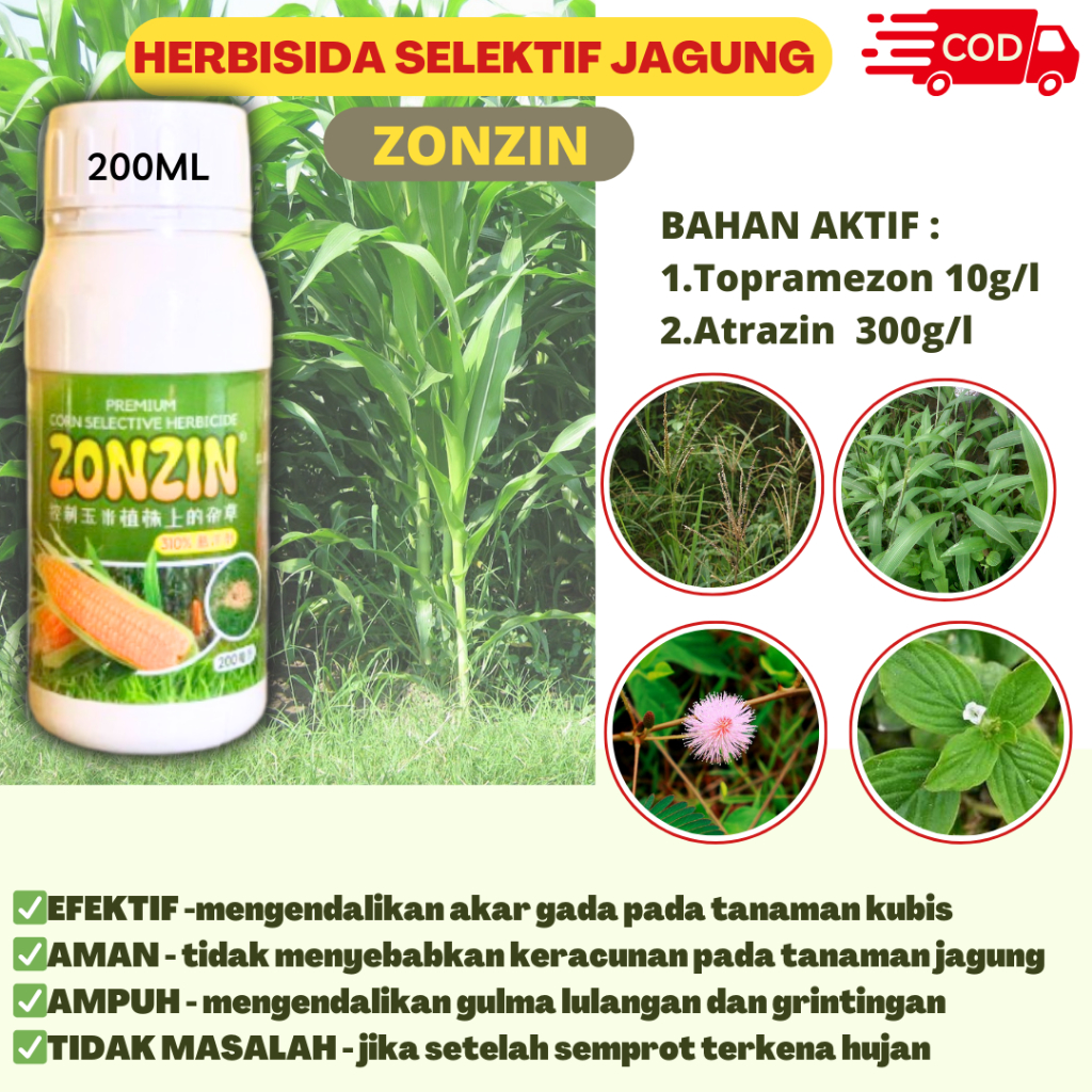 Herbisida Sistemik Selektif Pembasmi Gulma Racun Rumput Liar Tanaman Jagung Ampuh dan Aman ZonZin