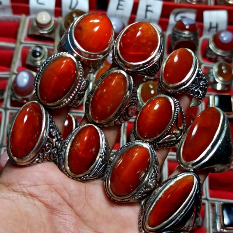 PANDAN MERAH SIZE KANTOR