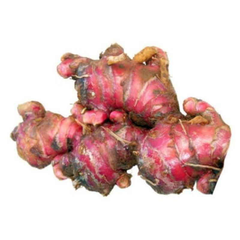 

Jahe Merah 250gr / 100gr
