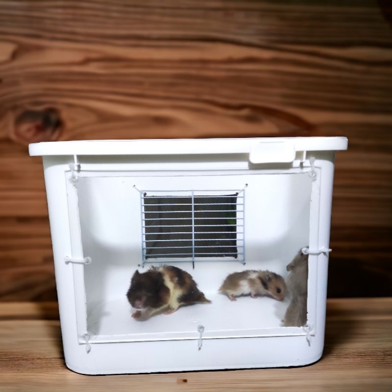 Kandang box es krim untuk landak dan hamster