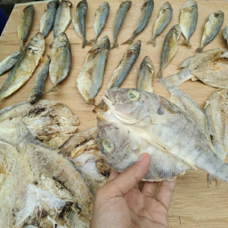 

Ikan kering Kakap ketambak Jangki 1 kg harga anak kost