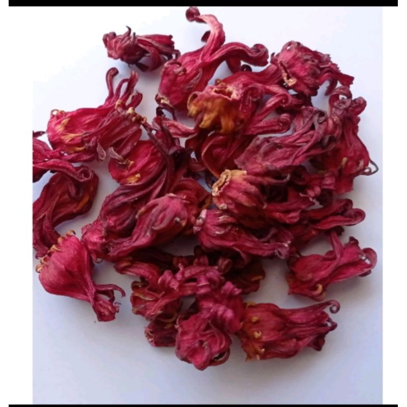 

Bunga Rosella merah kwalitas super original