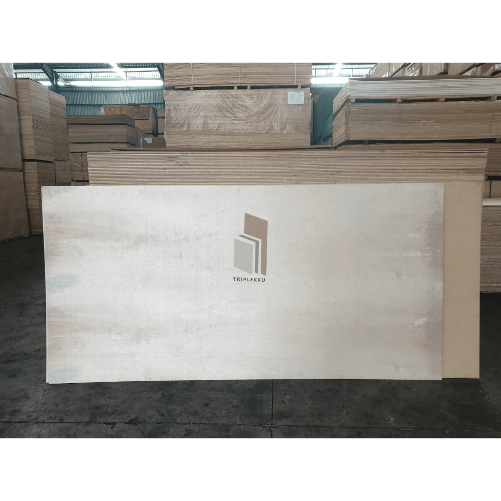 Triplek 4mm ALBA 122x244cm Plywood Papan Kayu Lapis Sengon 4 mm 4x8