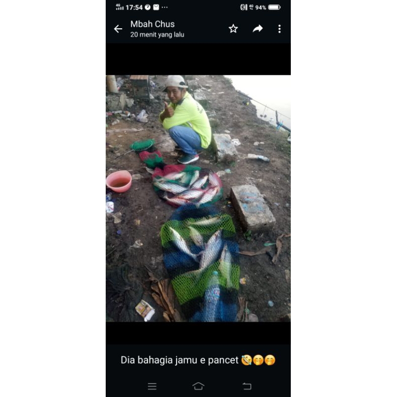 AKAF ESSEN UMPAN PATIN TOMBRO esen jitu di segala musim dan segala ikan  straight lebih cepat ikan p