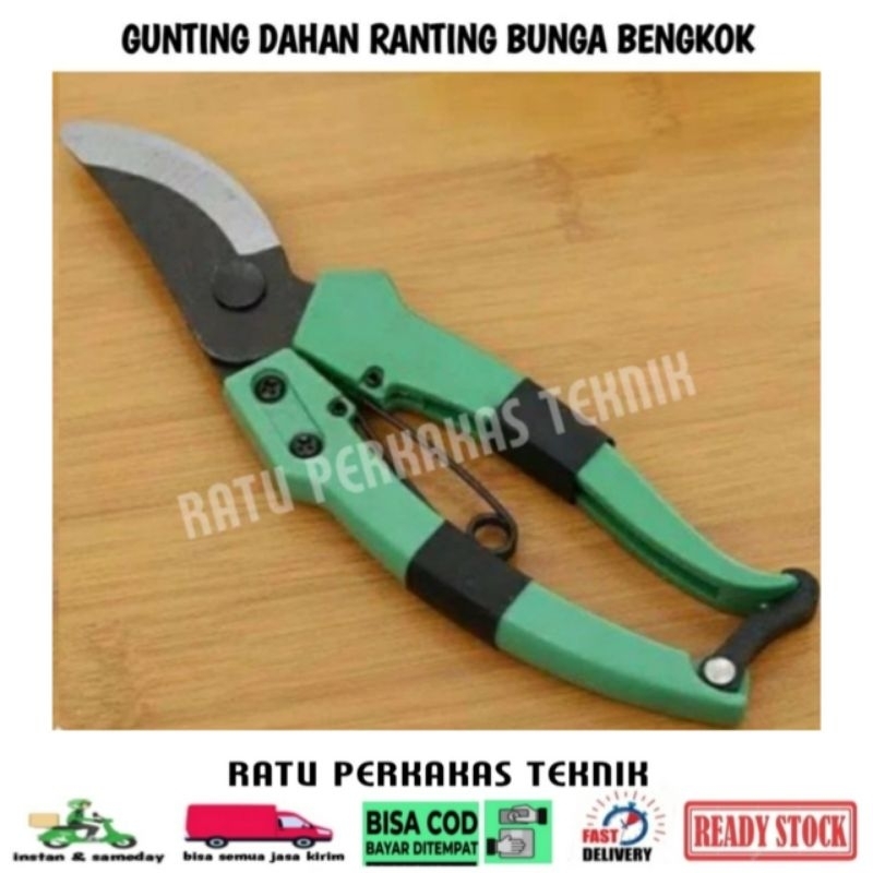 

GUNTING DAHAN RANTING BUNGA 6.5 INCH MODEL BENGKOK SERBAGUNA MULTIFUNGSI POTONG TANAMAN TAMAN