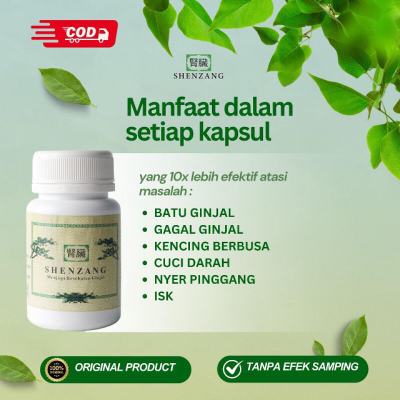 Shenzang Original Asli Obat Herbal Batu Ginjal Menjaga Kesehatan Ginjal