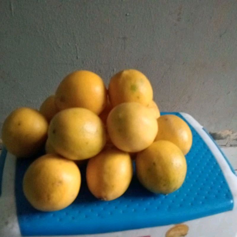 

Lemon 5 kg