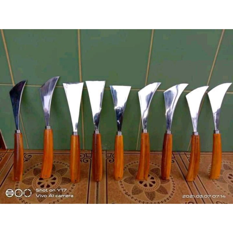 skrap panen sarang walet