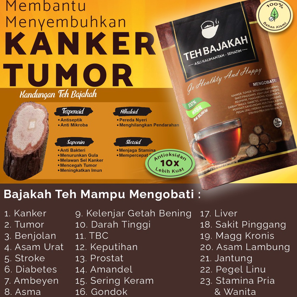 

Bestseller TEH CELUP BAJAKAH ASLI KALIMANTAN AKAR KAYU BAJAKAH KLG