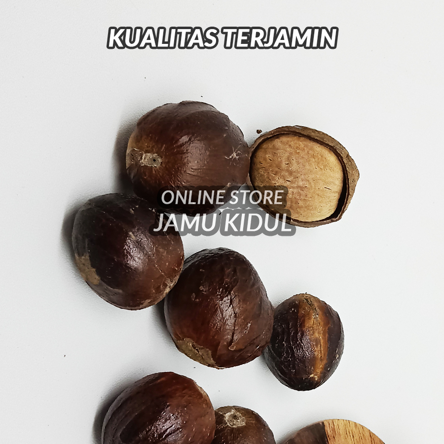 

Biji Pala 500gr / Buah Pala Grade A