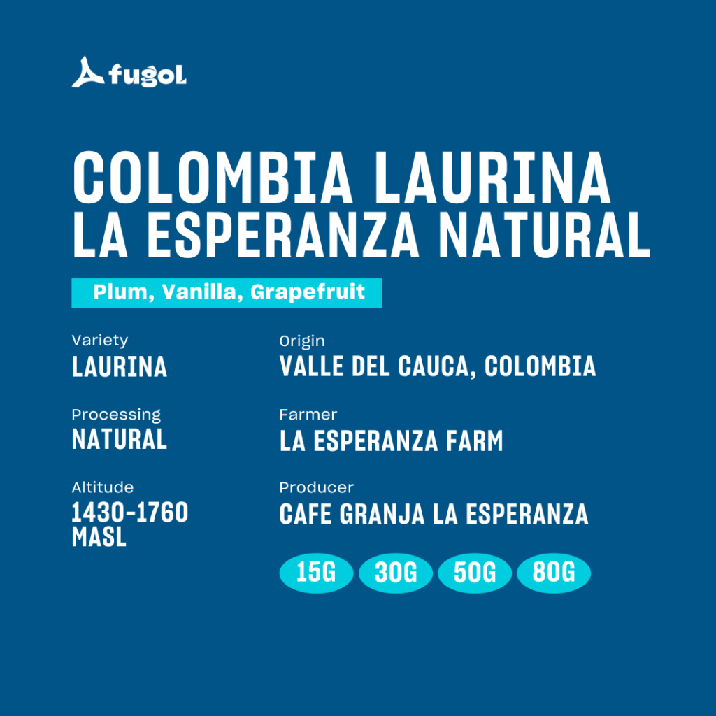 

CAFE GRANJA LA ESPERANZA LAURINA NATURAL Specialty Arabica Coffee