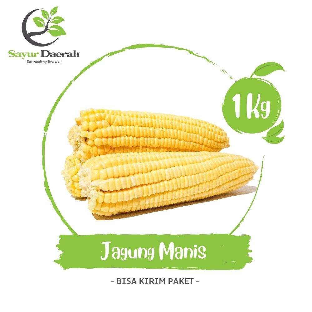 

Jagung Manis 1 Kg | Sayur Daerah