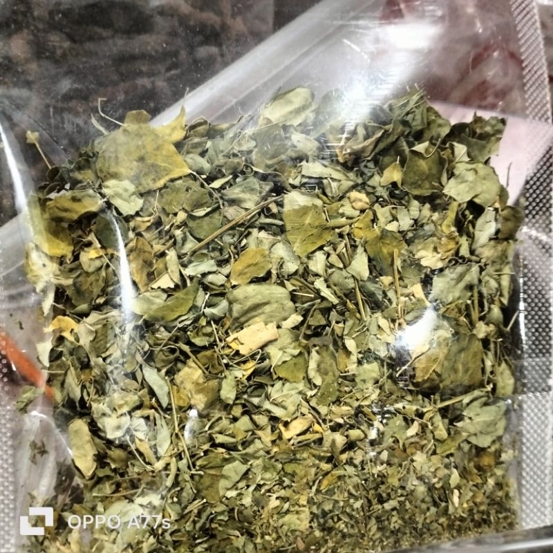 

daun kelor kering