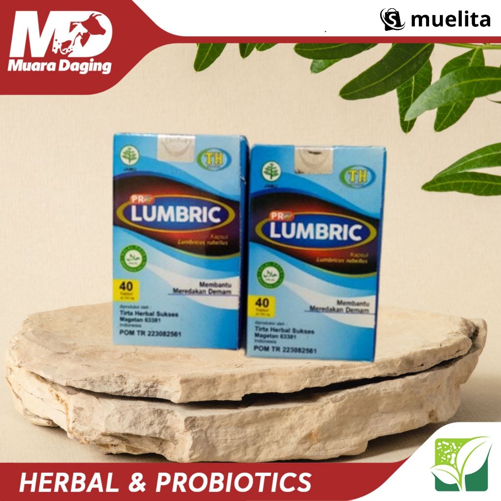 L-PRO LUMBRIC KEMASAN KACA 40kapsul BioTH