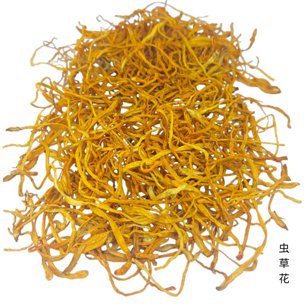 

100 gram - Chong Cao Hua 虫草花 /Jamur / Mushrooms / Bunga - Flower Cordyceps Militaris / Cordisep
