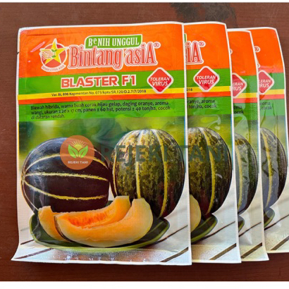 BENIH BLEWAH BLASTER F1 15 GRAM BINTANG ASIA